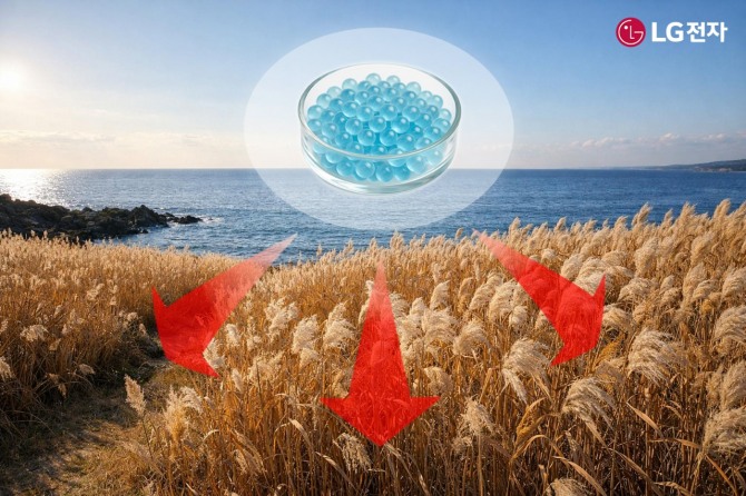 부산시 갈대밭에 마린 글라스를 적용하는 모습 예시(AI 제작). 사진=LG전자