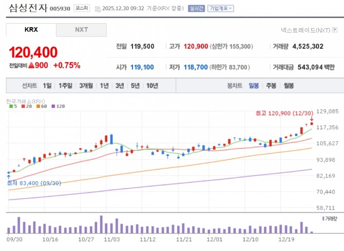 삼성전자 투자 지표. 자료=네이버페이 증권