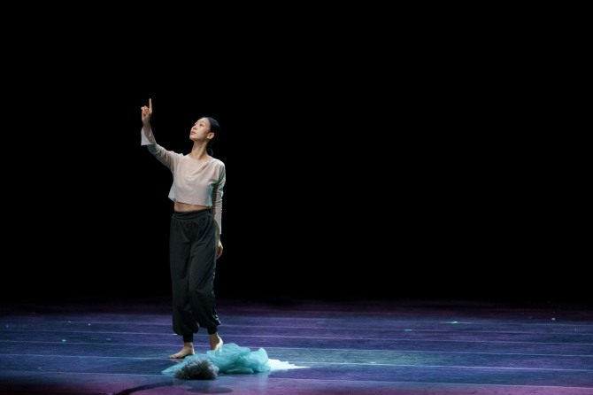 가시나무(전부희)