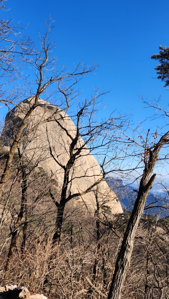 새해 소망, 백승훈 시인