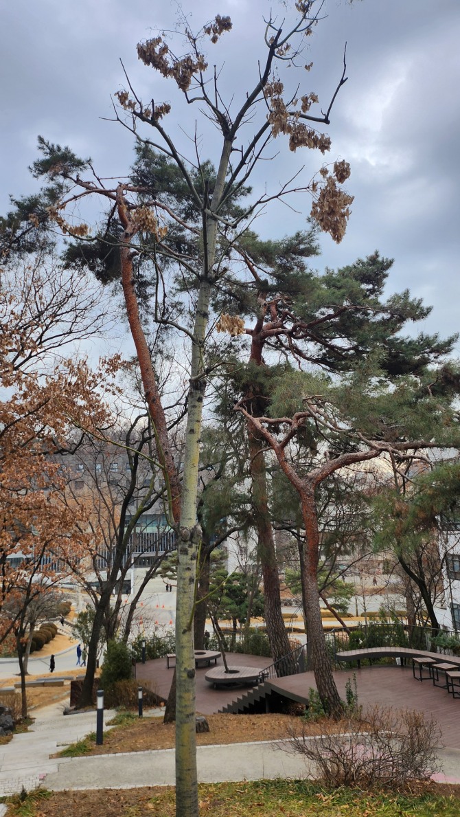 독립문에서 신촌까지 걷다, 백승훈 시인