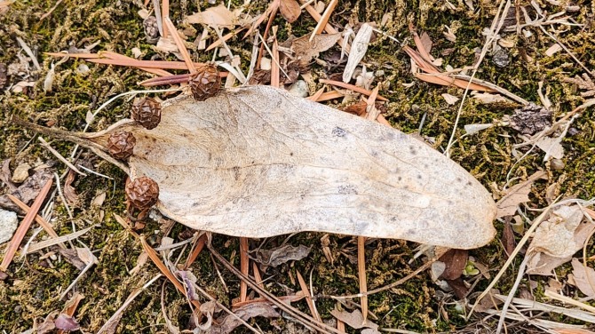 독립문에서 신촌까지 걷다, 백승훈 시인