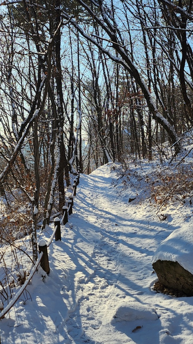 겨울 숲에서, 백승훈 시인