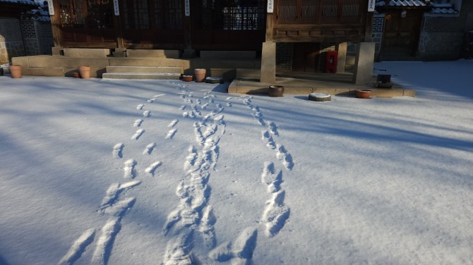 겨울 숲에서, 백승훈 시인