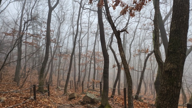 겨울 숲에서, 백승훈 시인