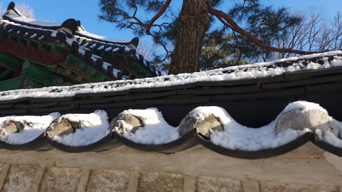 겨울 숲에서, 백승훈 시인