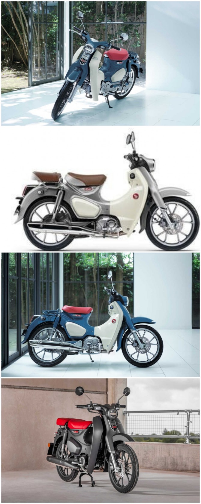 혼다 C125 슈퍼 커브 2026 사진=혼다