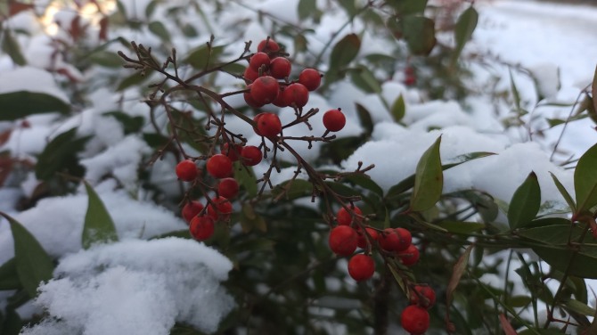 입춘 즈음에, 백승훈 시인