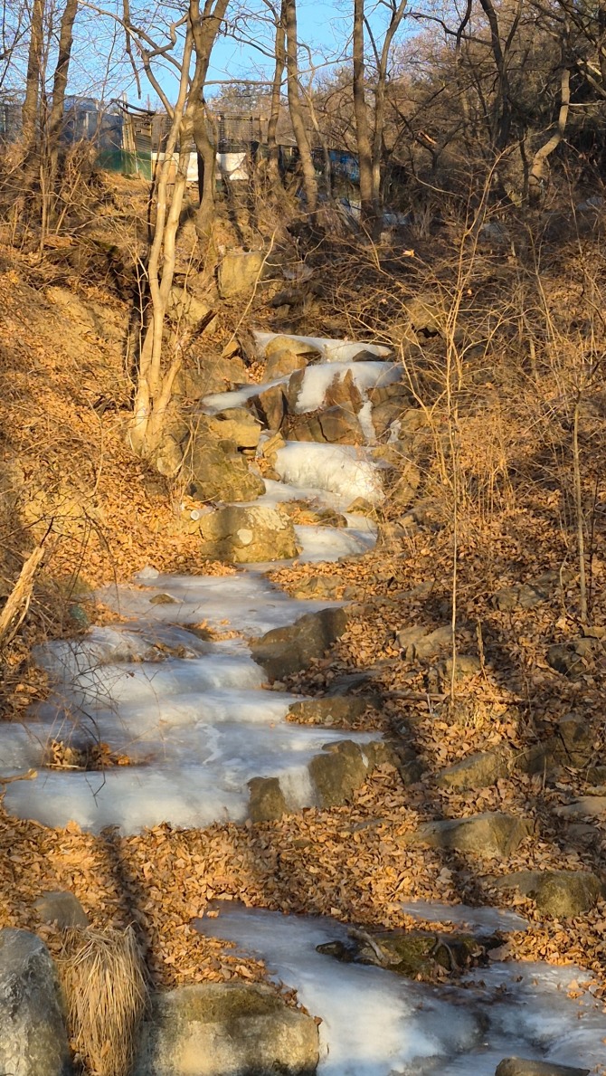 방학천의 원앙 한 쌍, 백승훈 시인