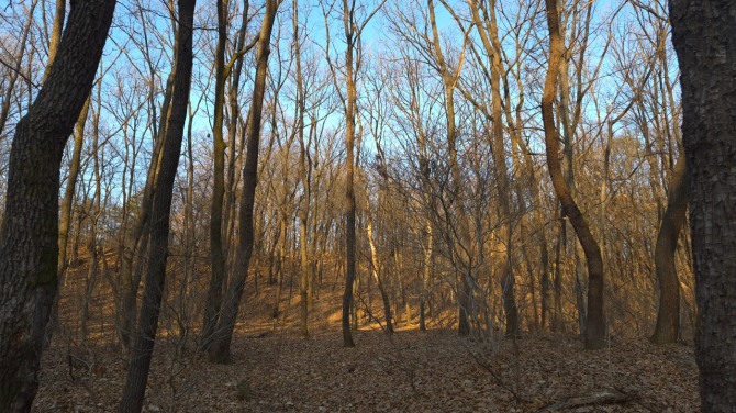 봄, 어디쯤 오고 있을까...백승훈 시인