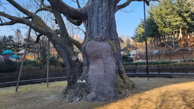 봄, 어디쯤 오고 있을까...백승훈 시인