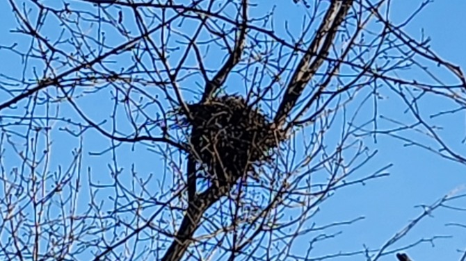 봄, 어디쯤 오고 있을까...백승훈 시인