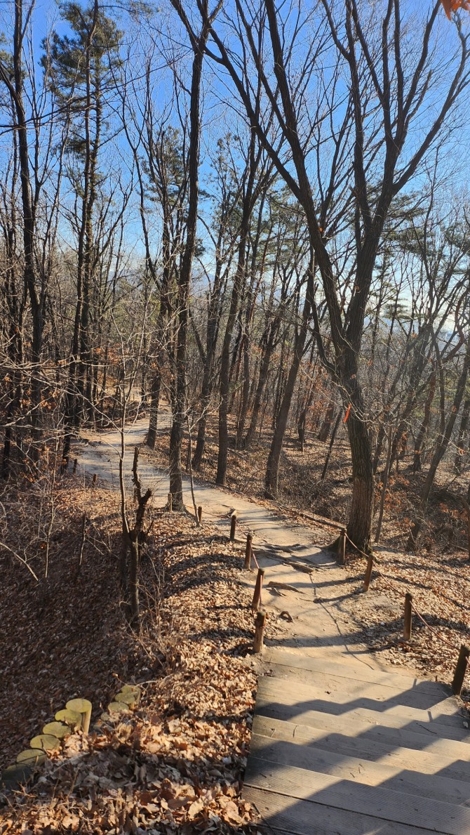봄, 어디쯤 오고 있을까...백승훈 시인