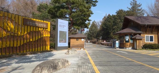 홍릉수목원의 복수초, 백승훈 시인