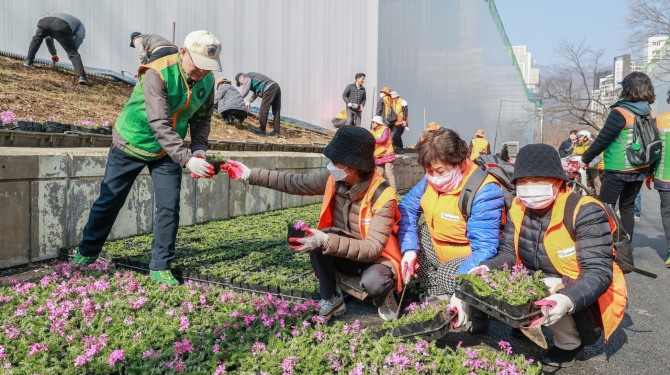 과천시민들이 굴다리길 꽃길 단장하고 있는 모습. 사진=과천시