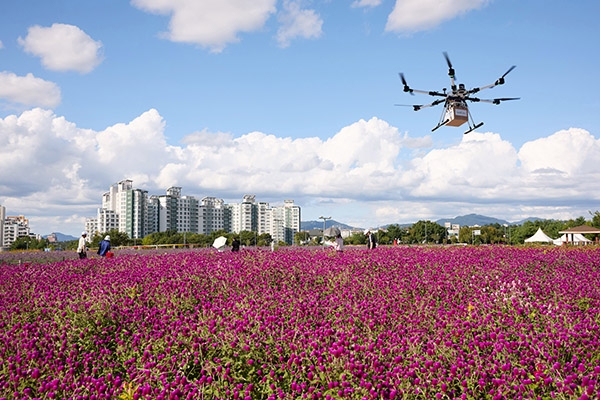 천일홍 축제 기간에는 군중 속 응급 상황에 대비한 의약품 및 자동심장충격기(AED) 배송 실증이 진행된다. 사진=양주시