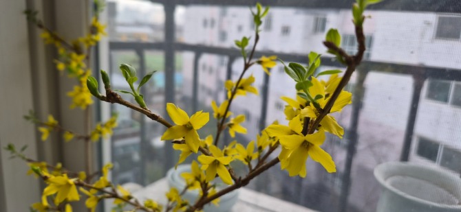 봄이 오는 길 / 백승훈 시인