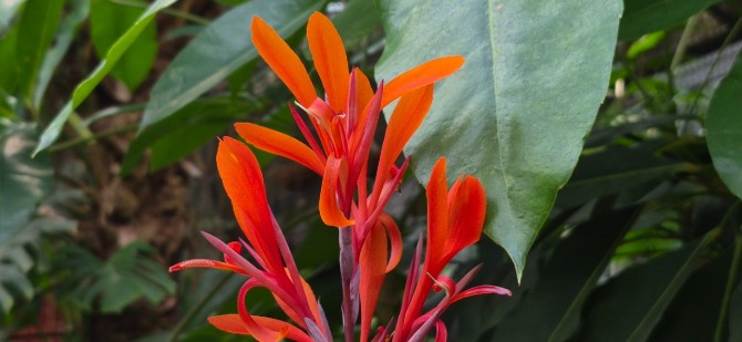 봄이 오는 길 / 백승훈 시인