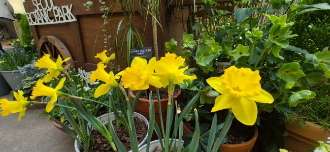 봄이 오는 길 / 백승훈 시인