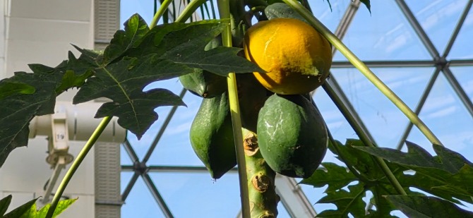 봄이 오는 길 / 백승훈 시인