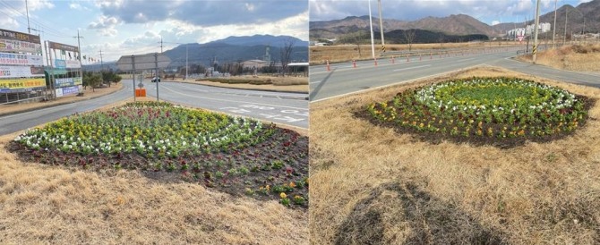  호국동산 내 화단 2곳, 총 60㎡ 면적에는 팬지 1680본과 스토크 200본, 석죽 200본을 추가로 심어 봄철 분위기를 한층 끌어올렸다.사진=경주시