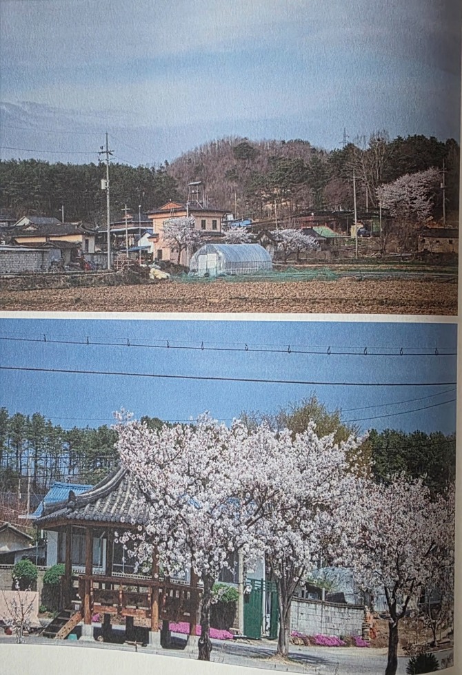 풍양톡톡(공덕1리, 동림)