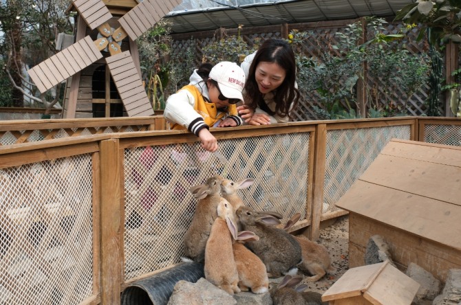 포천시 마이애니멀스토리in평강랜드. 사진=경기관광공사
