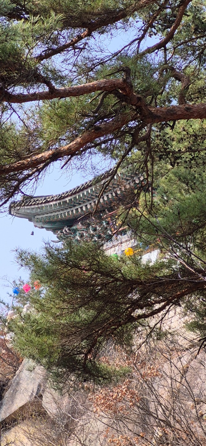 망월사의 봄 / 백승훈 시인