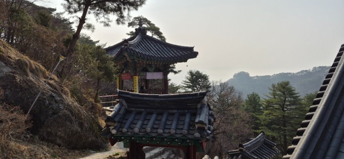 망월사의 봄 / 백승훈 시인