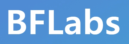 코스닥 상장사 BF랩스가 38억원 규모의 제3자배정 유상증자를 결정했다. 사진=BF랩스 홈페이지