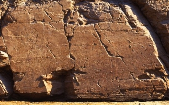 침수와 노출이 반복되며 표면 박락이 진행된 반구대암각화. 사진= 울산박물관