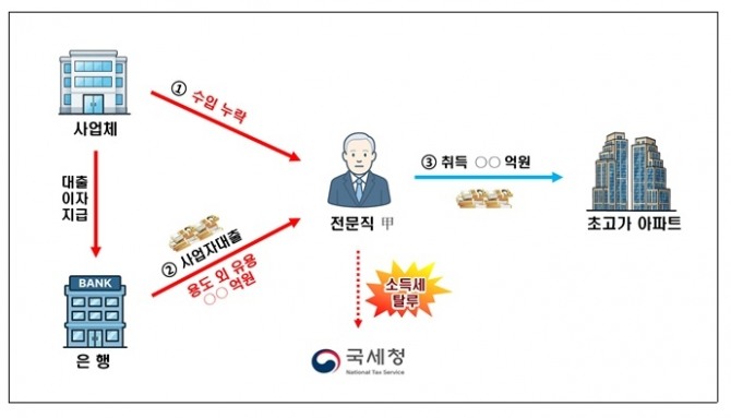 사업자 대출 유용과 관련 탈루 사례. 사진=국세청