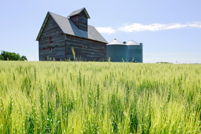 AI 데이터센터 확산에 美 농촌 반발…‘성장 vs 생존’ 충돌