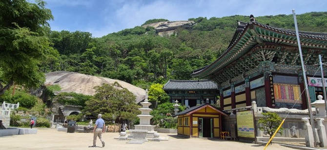 바닷가의 장미, 해당화 / 백승훈 시인