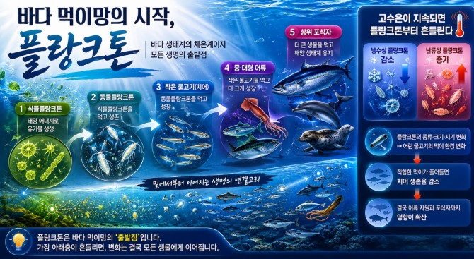 플랑크톤은 바다 먹이망의 출발점이다. 고수온으로 플랑크톤 군집이 변화하면 어린 물고기의 먹이 환경이 달라지고 결국 어류 자원과 해양생태계 전반에 영향을 미칠 수 있다. 인포그래픽= AI생성 및 자체편집