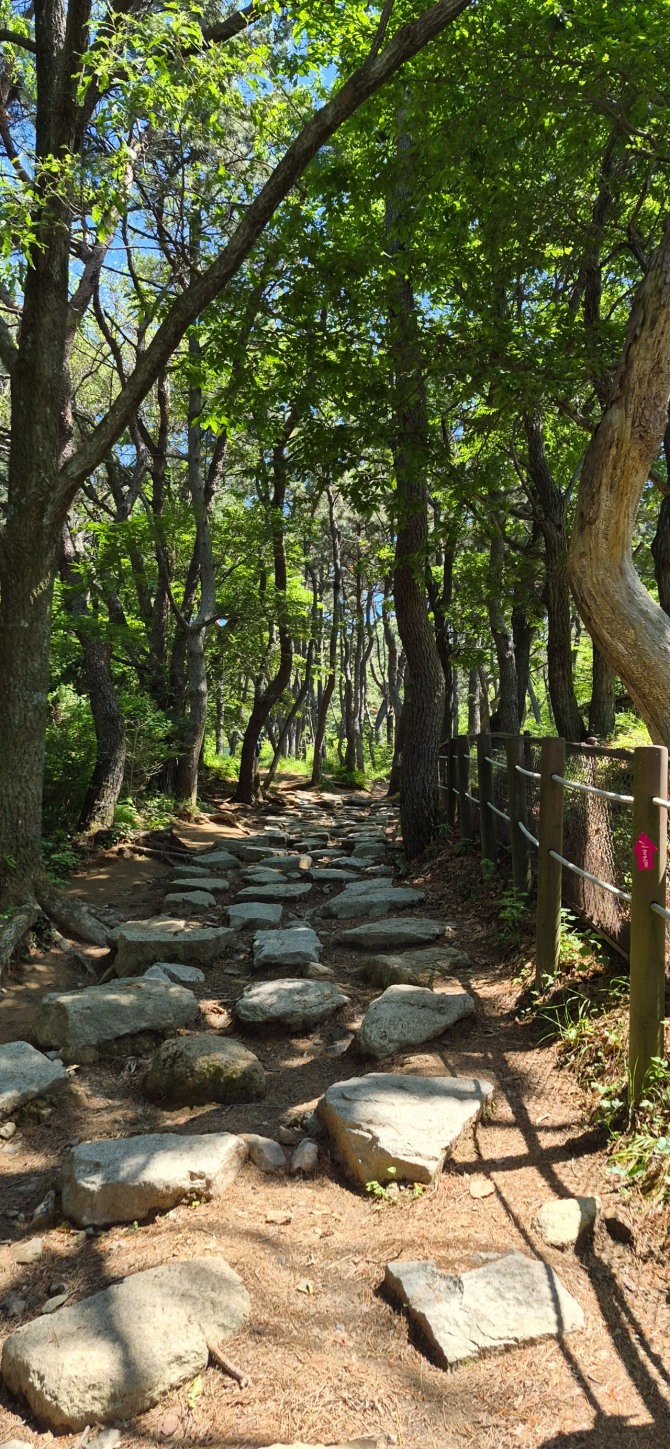 어쩌다 금정산행 / 백승훈 시인