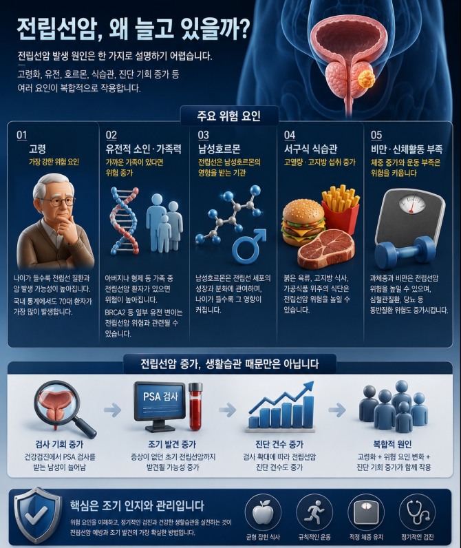 전립선암은 고령화와 가족력, 남성호르몬, 식생활 변화, 비만, 검사 접근성 확대 등이 복합적으로 작용해 증가하는 것으로 분석된다. 자료=AI생성
