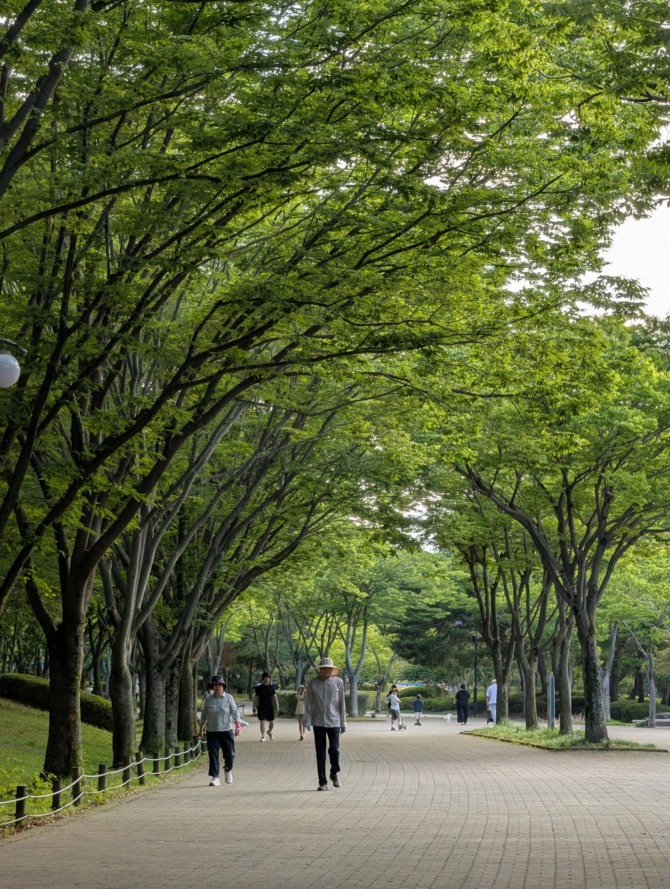 전날인 28일 울산대공원 숲길에서 시민들이 산책하고 있다. 6월 말인데도 낮은 습도와 장마 지연 영향으로 한반도에는 비교적 덜 끈적한 여름 체감이 이어지고 있다. 사진=박근호 기자