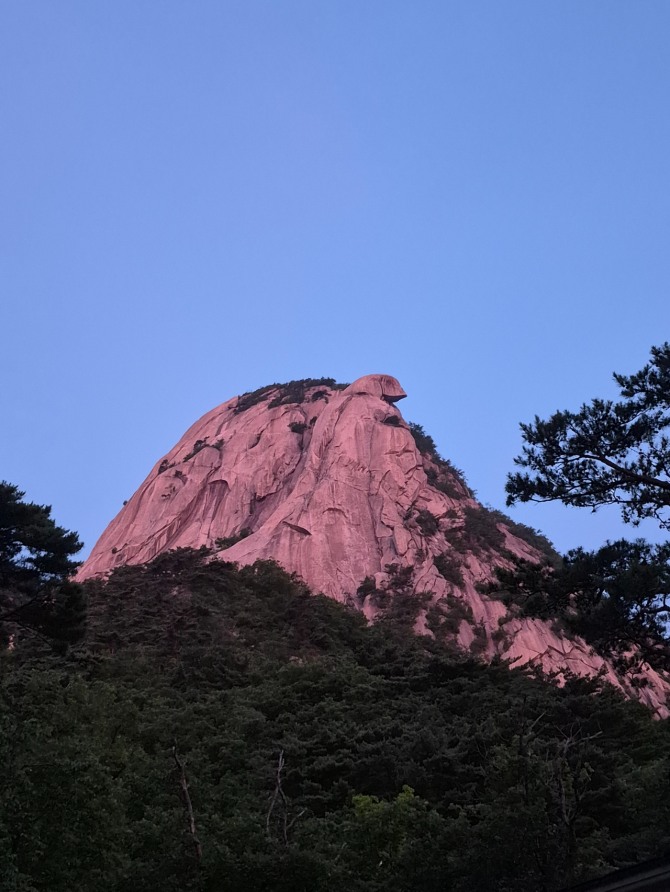가장 시원한 여름 / 백승훈 시인