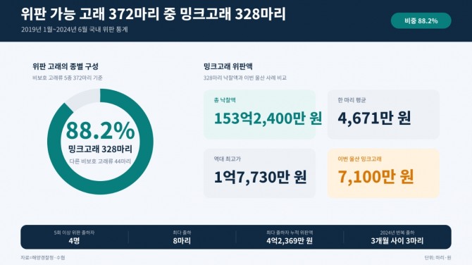 2019년 1월부터 2024년 6월까지 위판 가능한 비보호 고래류 372마리 가운데 밍크고래는 328마리로 88.2%를 차지했다. 자료=해양경찰청·수협/AI생성