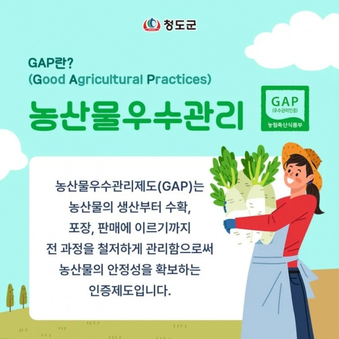 청도군이 농가와 소비자에게 안내한 농산물우수관리인증(GAP). 생산부터 수확·포장·판매까지 안전성을 관리하는 국가 인증이다. 사진=청도군 공식블로그