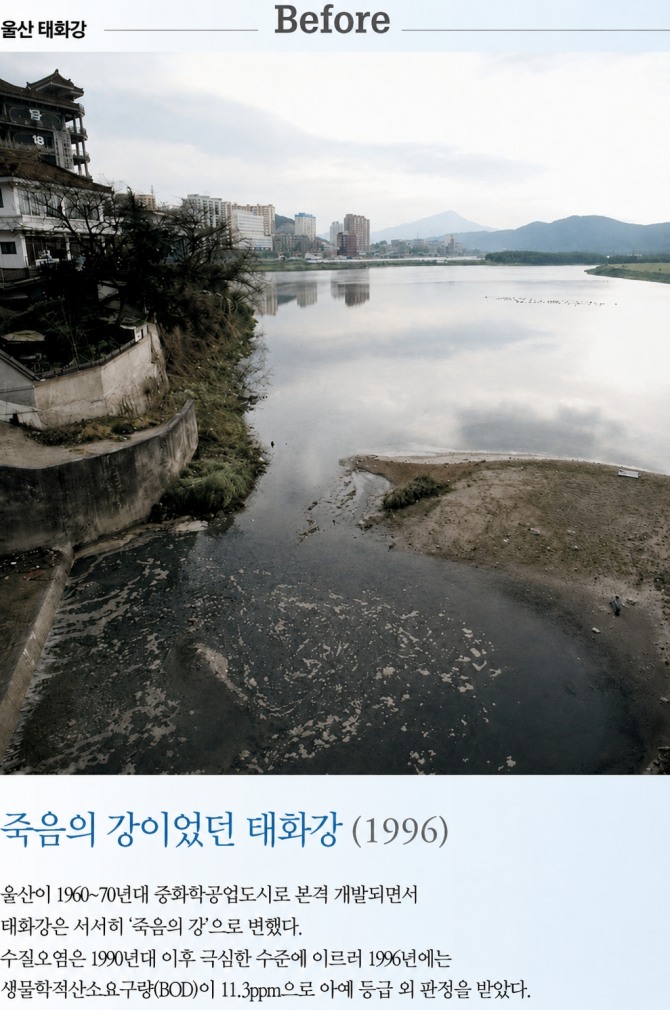 수질오염이 극심했던 1996년 태화강 전경. 당시 BOD는 11.3㎎/L까지 치솟아 등급 외인 ‘6급수 수준’으로 악화됐고, 공업용수로도 사용할 수 없는 ‘죽음의 강’으로 불렸다.  자료=청와대 정책소식지 제73호