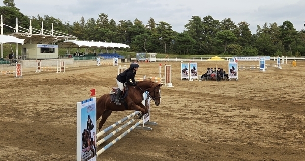 영천은 운주산승마조련센터를 중심으로 승마·조련과 전국 규모 승마대회를 이어오며 말산업 기반을 넓혀왔다. 오는 11일 렛츠런파크 영천이 개장하면 승마·조련·체험에 경주 기능까지 갖추게 된다. 사진=영천시
