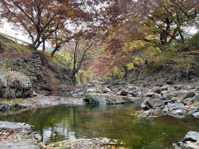 단풍과 낙엽으로 물든 영천 화북면 횡계구곡의 가을 풍경. 바위와 숲 사이로 계절의 색이 짙어지고 있다. 사진=영천시 공식 블로그