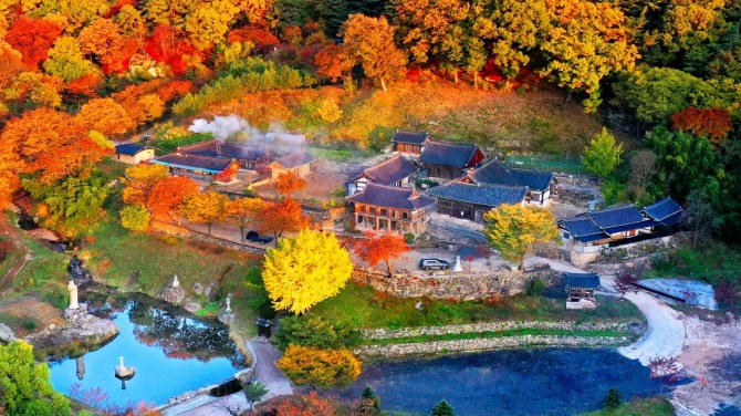 가을 단풍으로 물든 영천 은해사 전경. 팔공산 자락의 산사와 붉고 노란 숲이 어우러져 계절의 분위기를 더한다. 사진=영천 문화관광