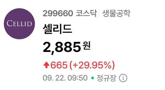 셀리드 주가 추이. 자료=네이버페이 증권