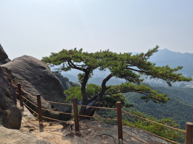 수락산의 가을 / 백승훈 시인