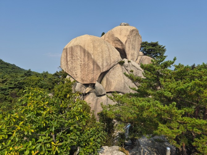 수락산의 가을 / 백승훈 시인