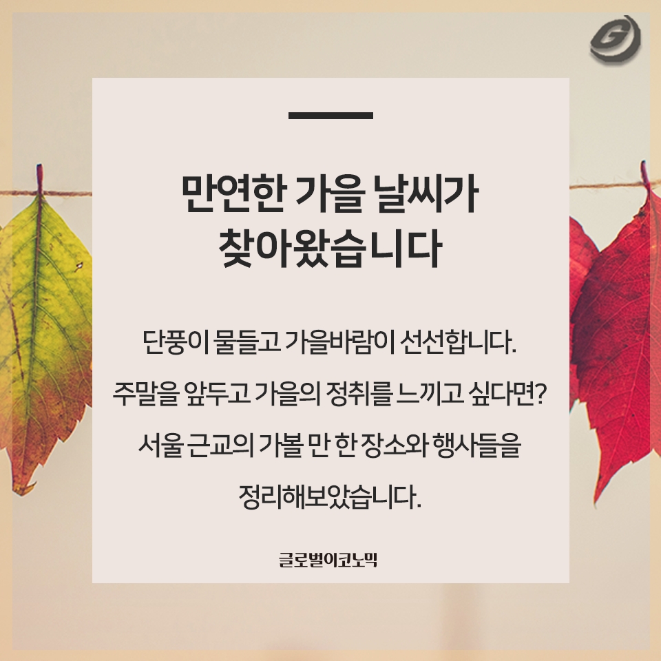 빈이미지