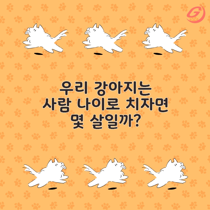 빈이미지